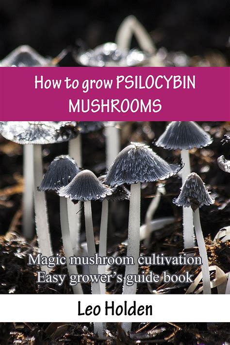 Buy How To Grow Psilocybin Mushrooms Magic Mushroom Cultivation Easy