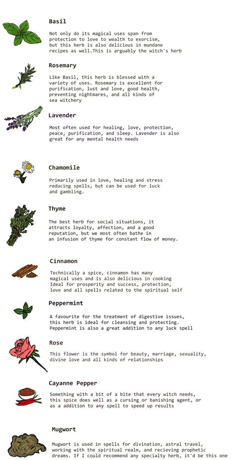 Flowers and herbs can be used to symbolize the hopes and dreams of the bride and groom, and also to thank guests and attendants. Common herbs & flowers and their purposes. | Witch herbs ...