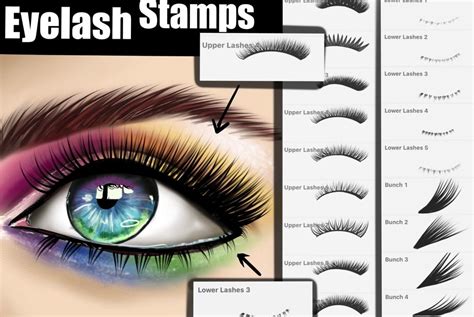 Procreate Eyelash Brushes Brush Galaxy