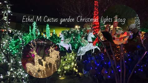 Located in henderson, nv, right outside las vegas. Ethel M Cactus garden Christmas lights 2019 - YouTube