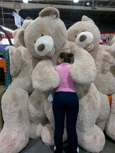 Hug Huge Teddy Bears Big Teddy Bear Giant Teddy Bear