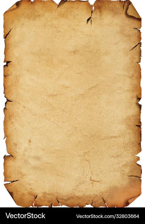 Old Antique Paper Parchment Scroll Over White Vector Image