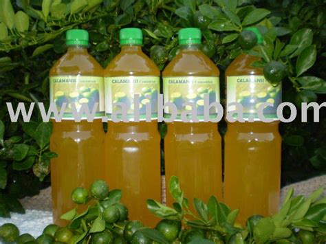 Lime Juice Concentratedphilippines Fruit And Vegetable Juice Price