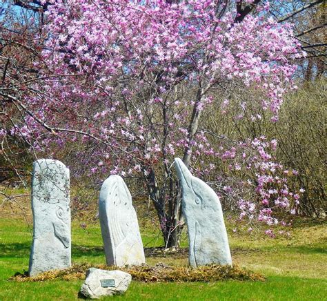 Rock animals | Pet rocks, Like animals, Outdoor decor