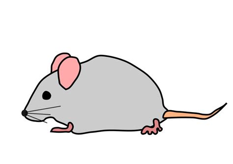 Free Clipart Mouse Artbejo