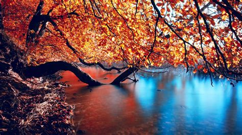 Download 1600x900 Wallpaper Autumn Nature Lake Reflections