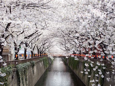 25 Most Beautiful Places in Japan - Photos - Condé Nast Traveler