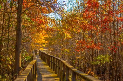 Fall Bucket List For The Best Of Bloomington Indiana