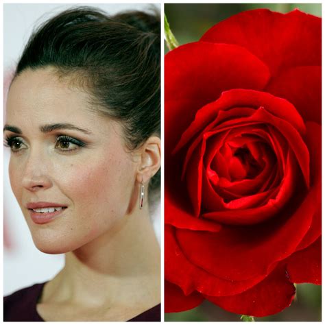 Find your family's origin in the united states, average life expectancy, most common english, scottish, french, and german: Celebrity Named Roses | Actress Rose Byrne may be ...