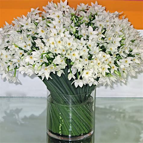 Blue wedding flowers wedding flower arrangements wedding centerpieces wedding colors wedding bouquets diy flowers flowers decoration wedding decorations flowers garden. Wedding Flowers For All Seasons | The Greenwich Tent Company