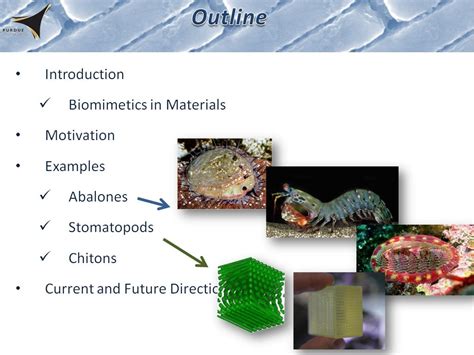 Resources Bio Inspired Materials Lessons Learned From