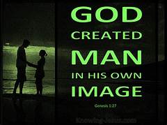 The Man God Designed You To Be Discovering Your Biblical Potential