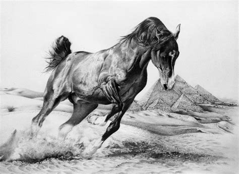 10 Cool Horse Drawings For Inspiration Hative