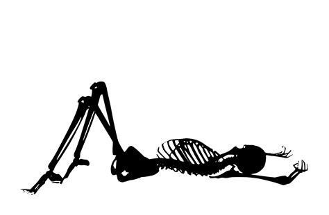 Human Skeleton Lying Down Skeleton Of Human Female Lying On Floor