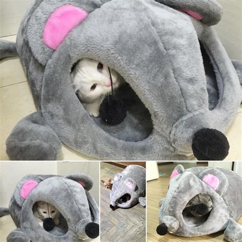 Large cats need a cat tower that's durable and can handle the force of them jumping on and off it with ease. Free Shipping Size 50*40*21CM Cats Bed Cartoon Grey Mouse ...