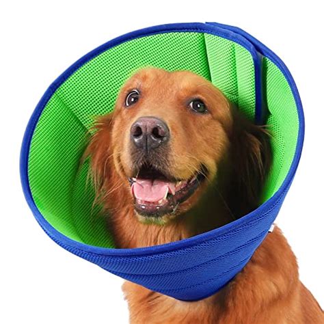 The 7 Best Cone Alternatives For Dogs From Soft Collars To Recovery Suits