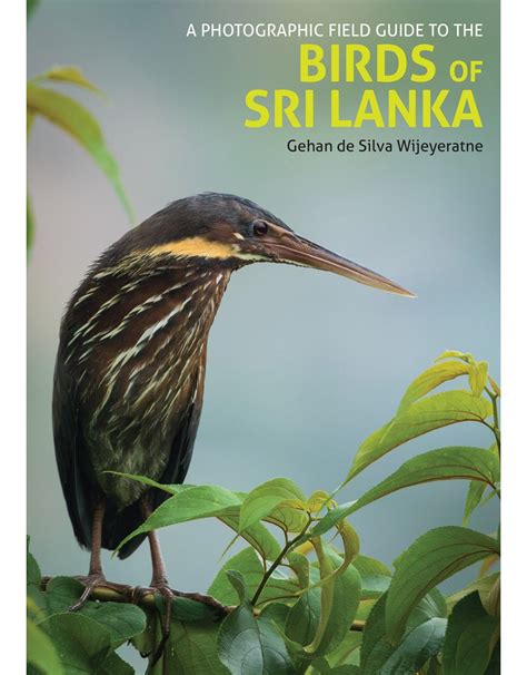 A Photographic Field Guide To The Birds Of Sri Lanka Nokomis