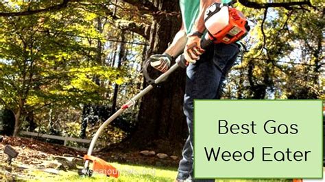10 Best Gas Weed Eaters String Trimmers For Lawns Wssa Journals