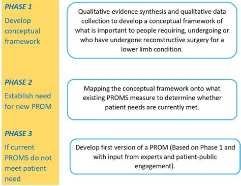 The Prollit Study Proms Patient Reported Outcome Measures Download