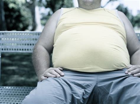 is obesity a disability law and labour
