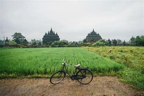 Tema puisi bunga di tepi jalan. Terbaru 25+ Puisi Desa Kelahiranku