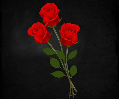 3d Hd Wallpapers Rose Tutorial Pics