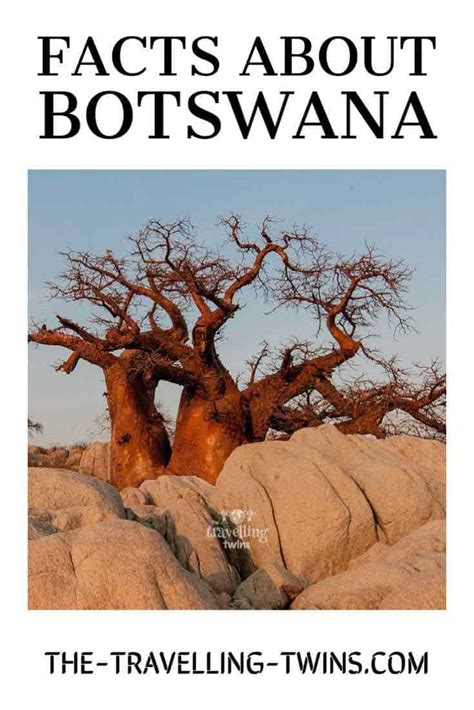 Interesting Facts About Botswana The Travelling Twins