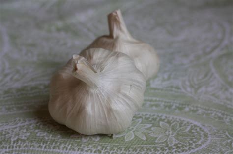 How To Roast Garlic A Photo Guide The Gourmand Mom