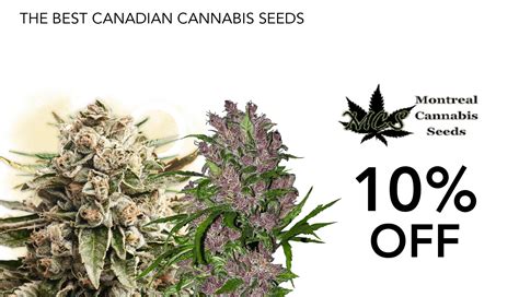 Cheap Flower Seeds Canada