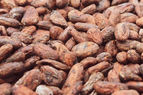 Best Chocolate Farm Tour on the Big Island, Hawaii - Forever Lost In Travel