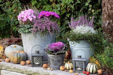 Kübel Und Balkonkästen Herbstlich Bepflanzen Unsere Ideen Für