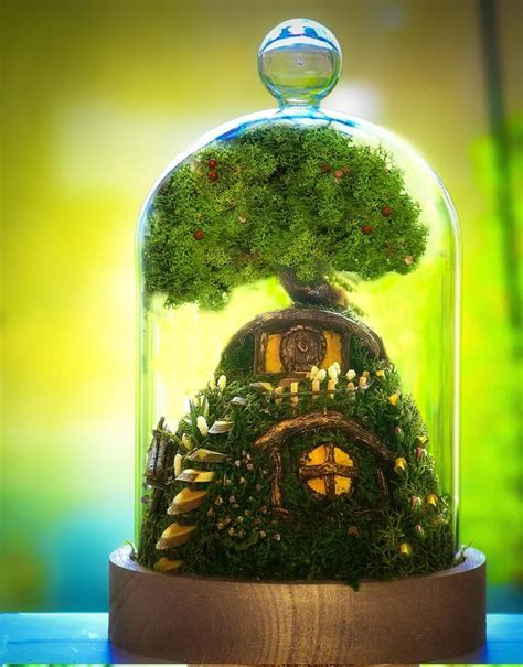 Preserved Moss: Best Types and Creative Applications