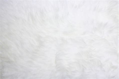 White Fur Stock Photo Download Image Now Istock