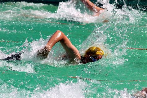 School Swimming Race School Swimming Race Today Great Fun Flickr