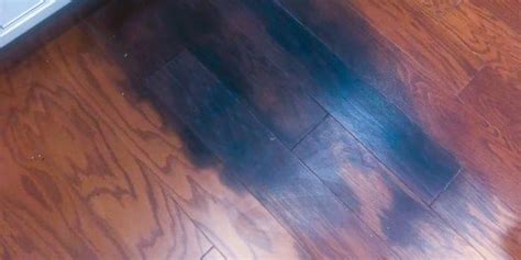 How To Remove Black Stains From Wood Floors Floor Roma