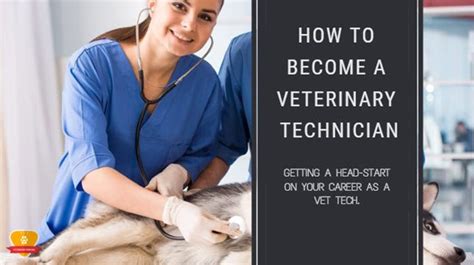To practice veterinary medicine in the united states, one has to take up an undergraduate degree for the first 4 years in the field of veterinary medicine, preceded by dvm/vmd that is another 4 years. How to Become a Vet Tech: Career, Requirements & Salary