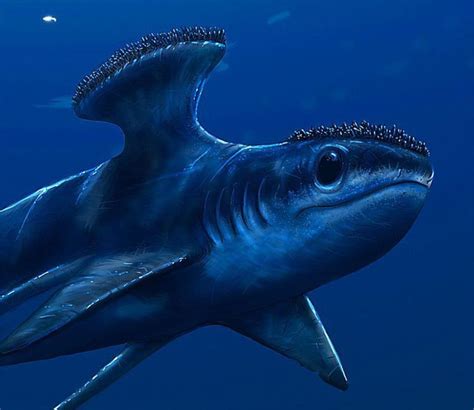 10 Bizarre Beasts That Roamed The Carboniferous Waters Owlcation