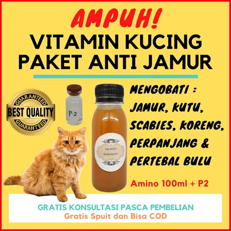 obat kudis kucing