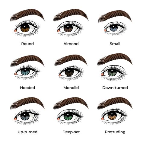 The Perfect Makeup For Your Eye Shape And Colours