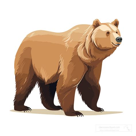 Bear Clipart Grizzly Bear Shows Prominent Snout And Rounded Ears
