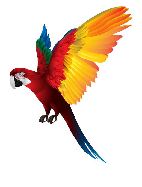 Single Flying Bird Png Clipart Png All