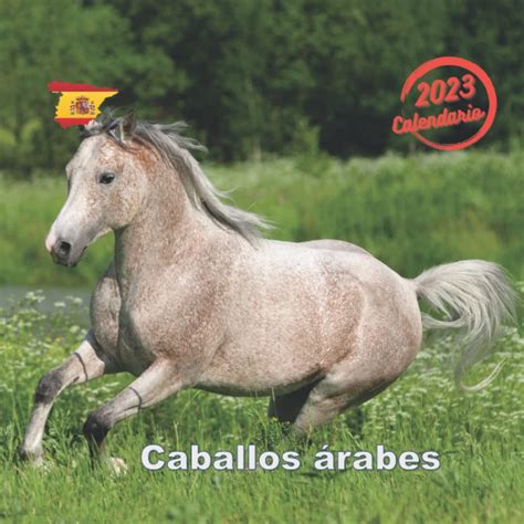 Buy Caballos árabes Io 2023 12 Meses Tamaño 215x215 Cm Con