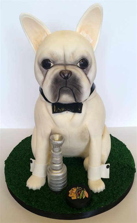 The french bulldog has exploded in popularity in the united states and the united kingdom in recent years, and for understandable research done in the uk and published in 2016 found that almost half of french bulldogs have significant breathing problems, with over 66 percent showing stenotic nares. French Bulldog Cake by Jessica James | Puppy dog cakes ...