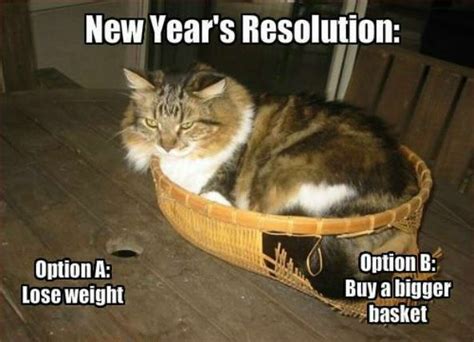 Memes Recount The Hardships Of The First Week Sticking To New Year S Resolutions