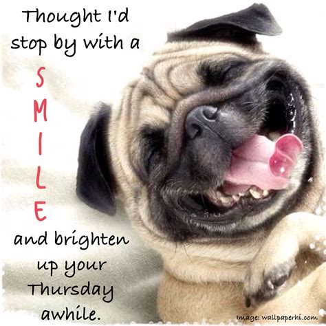 Thursday Humor Animal Funny Dog Silly Smile Half Way Through