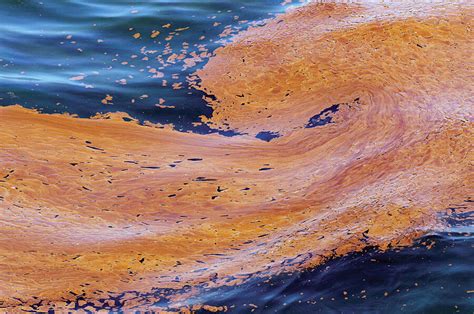 Rihet explains that computer scientists can easily get into direct applications that address societal issues like poverty. Gulf oil spill's environmental impact: How long to recover ...