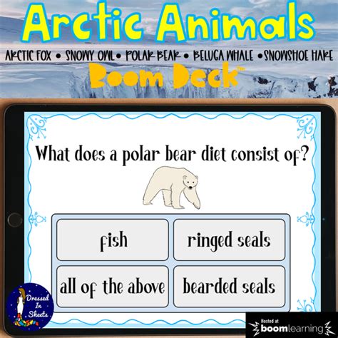Arctic Animals Facts And Quiz Made By Teachers