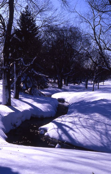 If so, you must start by requesting a blizzard tournament license. BLIZZARD OF 78 - Rhode Island Memories