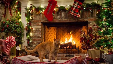 Christmas weekend is here and nothing says christmas like a warm fireplace. TV Yule Log: How it started, and this year's options, from ...