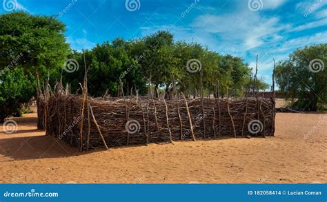 Nguni Cow At A Kraal In A Himba Village Stock Photo
